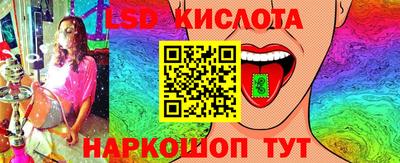 дмт Краснодар