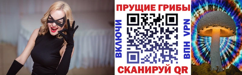 где можно купить наркотик hydra ССЫЛКА Псилоцибиновые грибы Psilocybe Ногинск