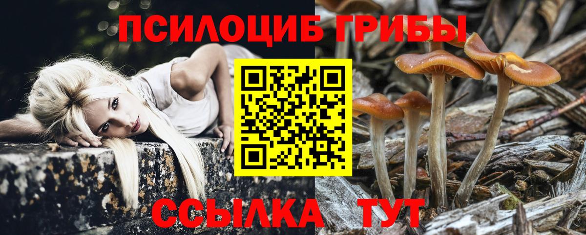 Галлюциногенные грибы MAGIC MUSHROOMS Ногинск