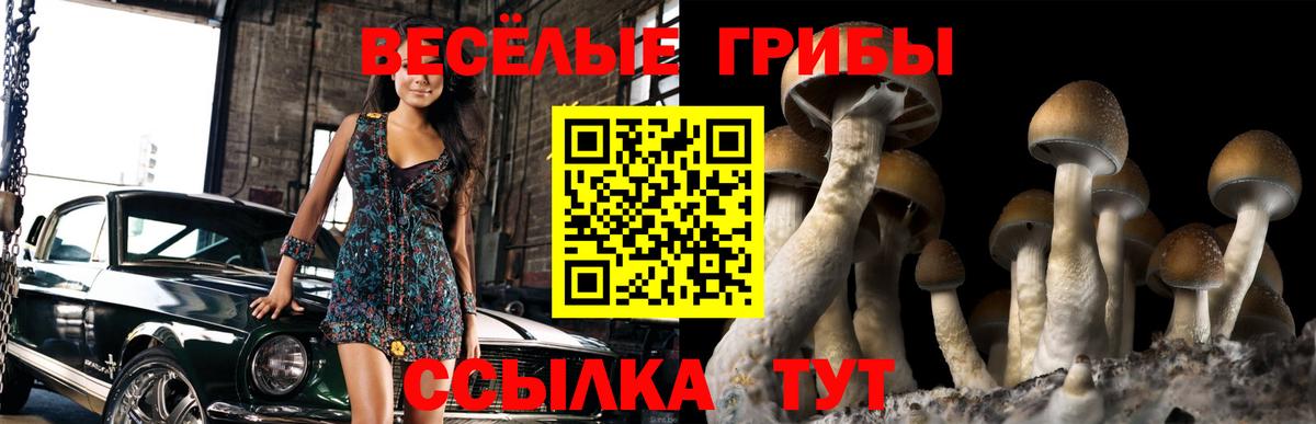 Ногинск  Галлюциногенные грибы GOLDEN TEACHER  Псилоцибиновые грибы Magic Shrooms  Вход с VPN 